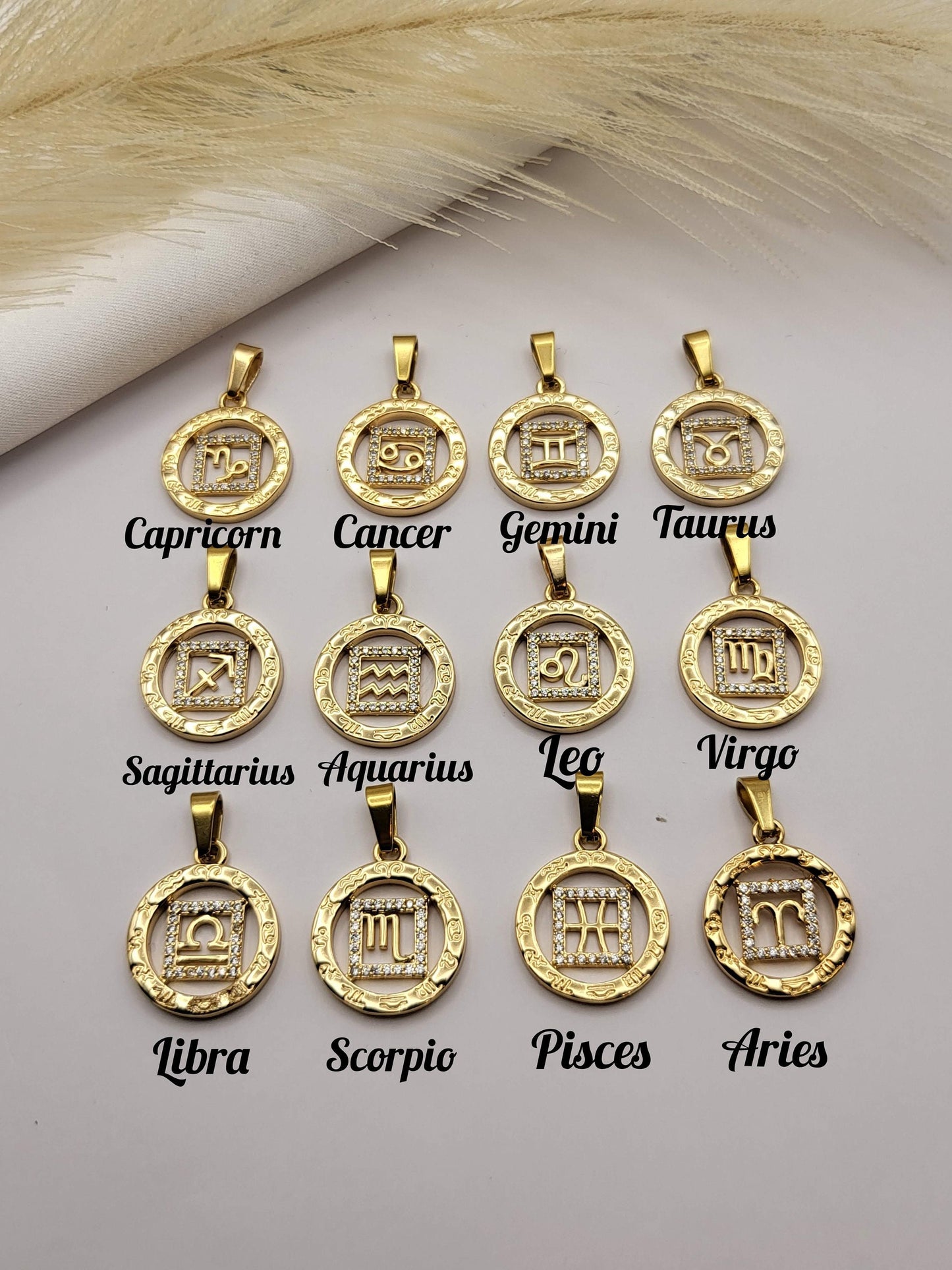 Gold Filled Zodiac Coin Earrings, Add your Birthstone, Leo Necklace, Scorpio Necklace, Astrology Jewelry, Birthday Gift.