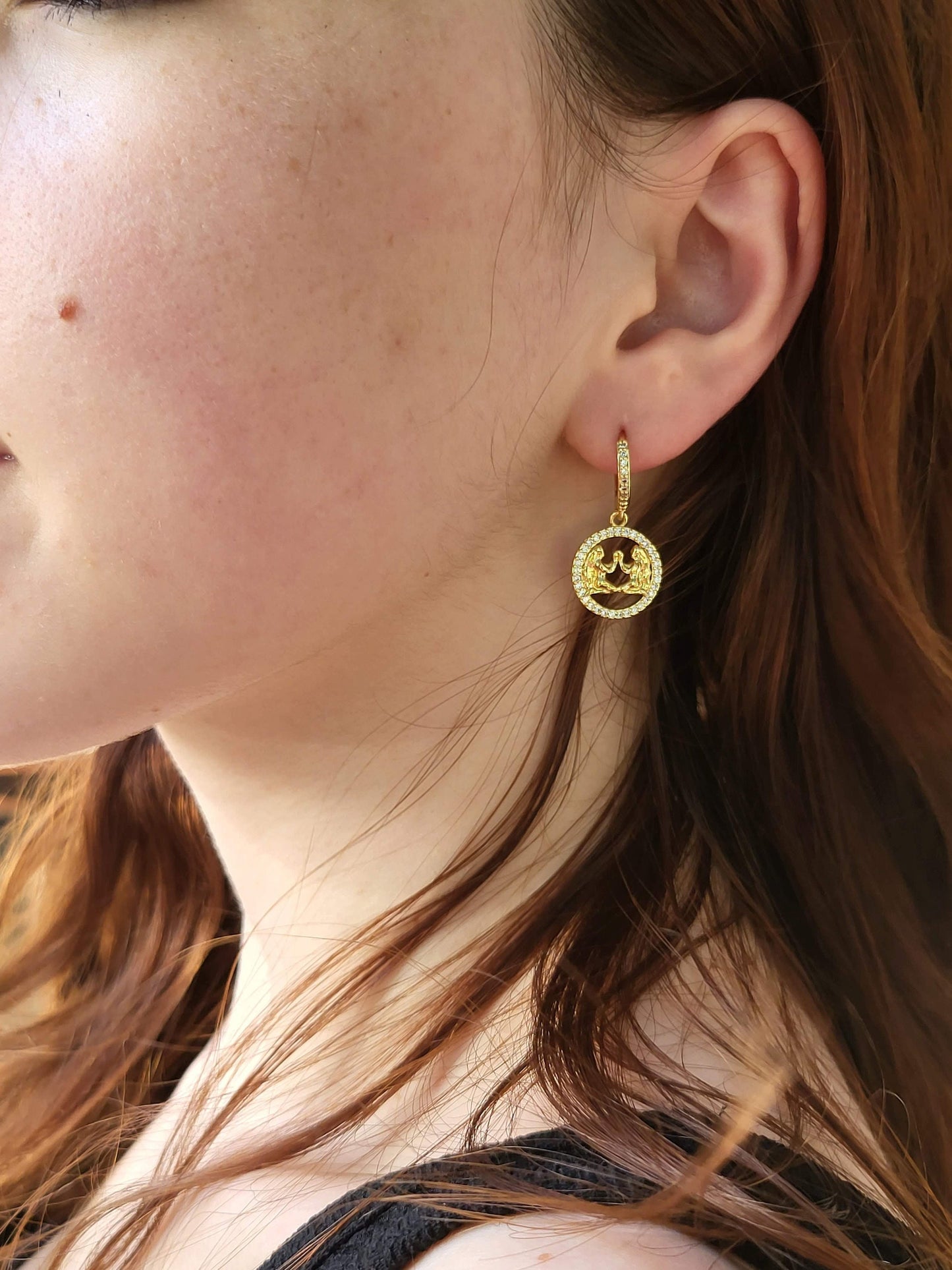 Gold Filled Zodiac Horoscope Earrings, Astrological Jewelry, Zodiac Gifts.